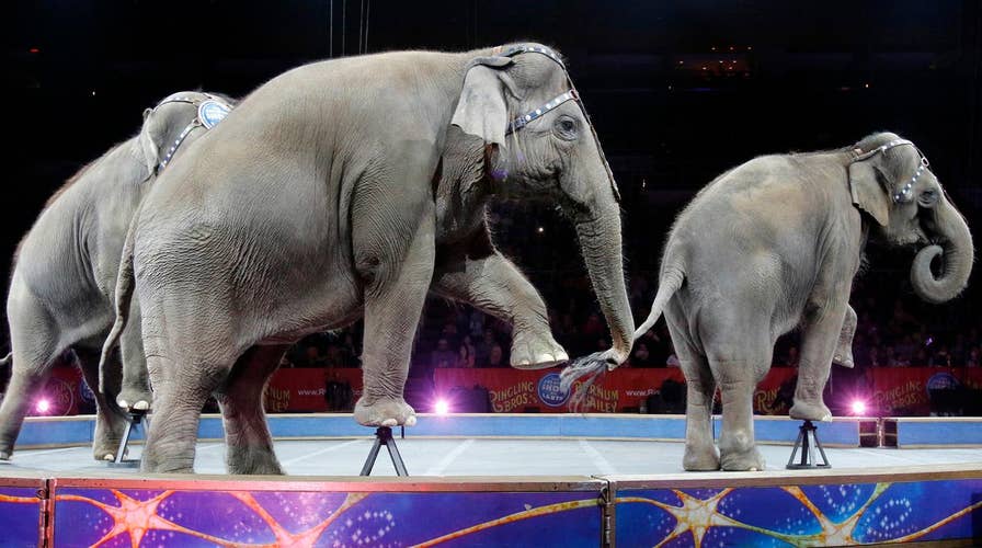 Ringling Bros. circus shutting down after 146 years