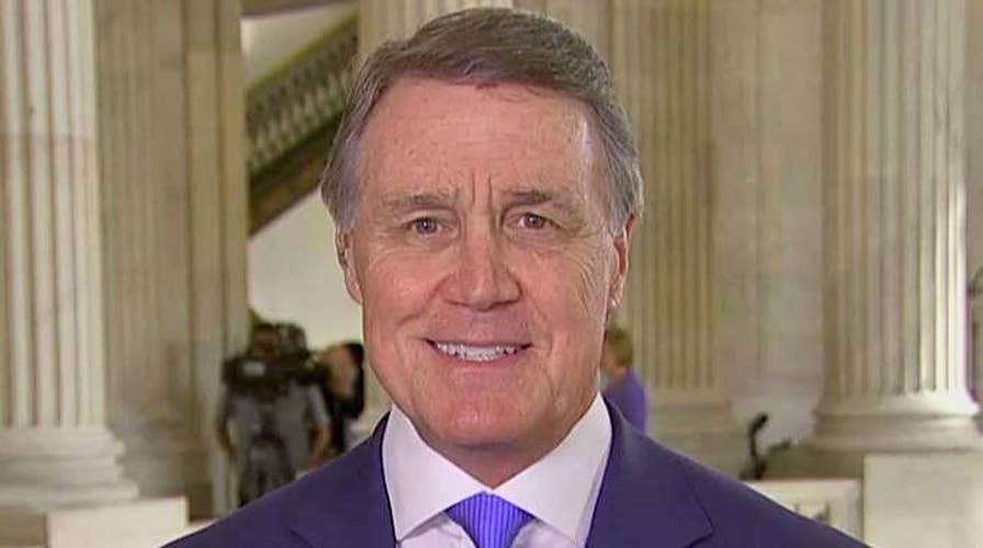 Sen. David Perdue: Trump's Cabinet lineup is 'stellar'