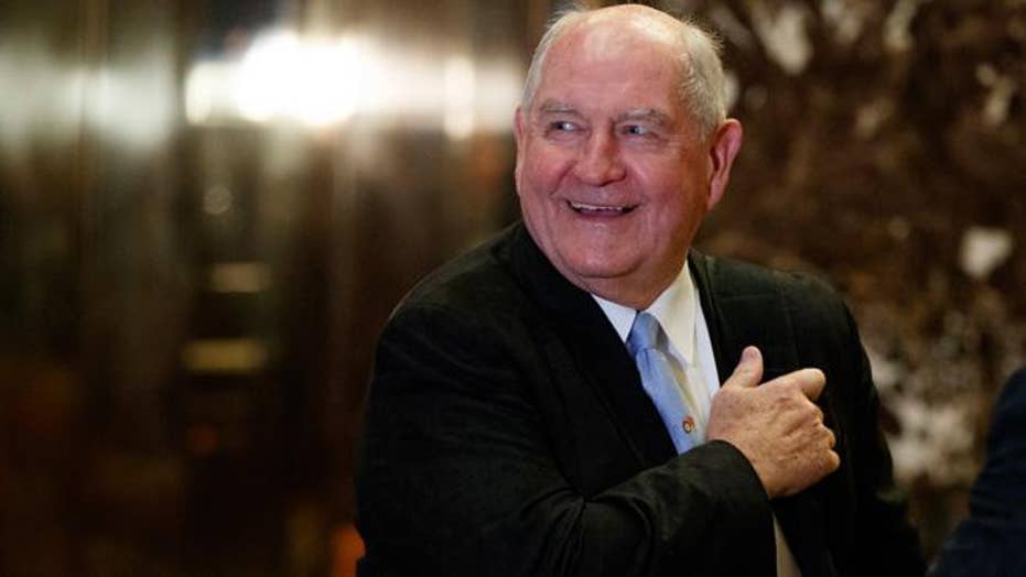 Sonny Perdue nominated to lead agriculture dept.