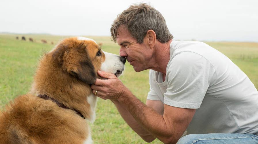 PETA attacks, Dennis Quaid defends 'A Dog's Purpose'