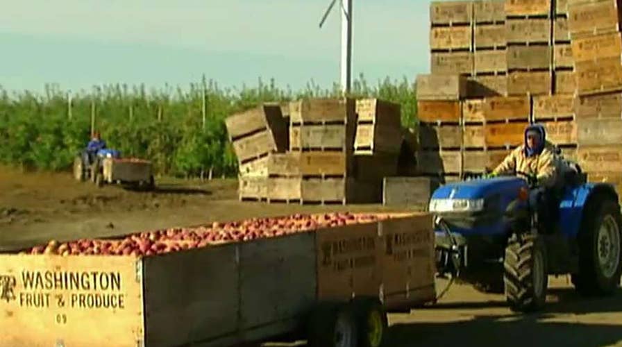 Farmers hope for better trade deals after TPP withdrawal