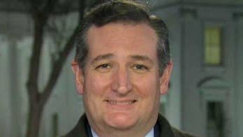 Sen. Cruz: Nomination of Gorsuch for Supreme Court a 'home run'