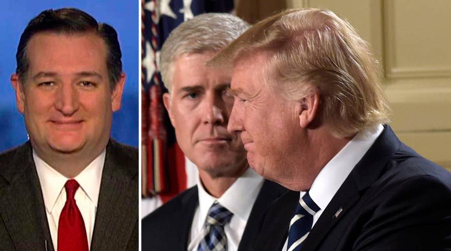 Ted Cruz talks frustration over Democrats in Trump 'denial'