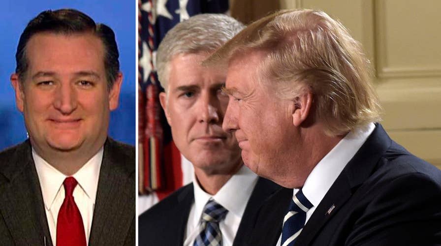 Ted Cruz talks frustration over Democrats in Trump 'denial'