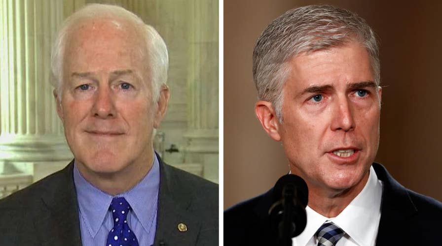 Cornyn optimistic that vulnerable Dems will confirm Gorsuch