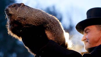 Phil's forecast: Groundhog predicts 6 more weeks of winter