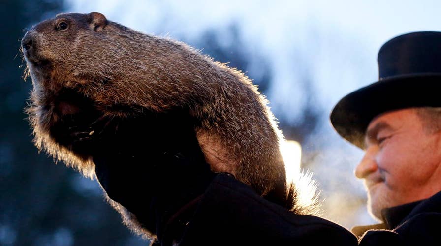 Did Punxsutawney Phil see his shadow?