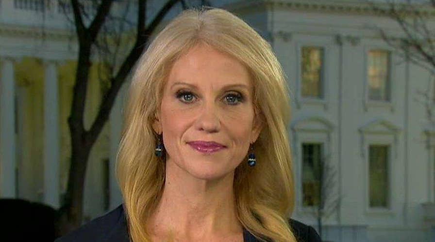 Kellyanne Conway: President is showing progress, solutions