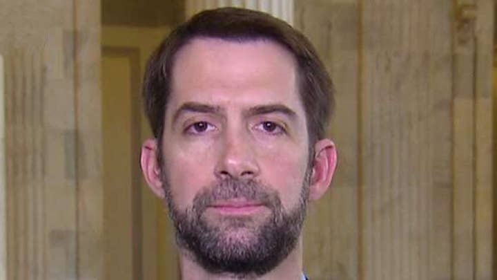 Sen. Tom Cotton discusses his new immigration bill