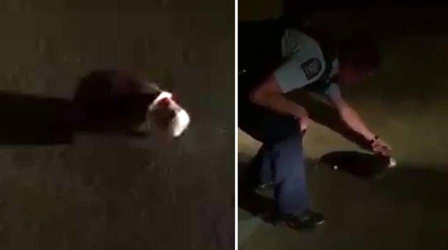 Cop saves hedgehog from yogurt cup