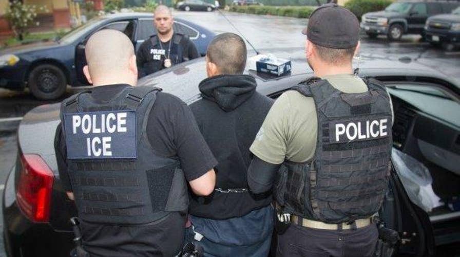 ICE raids targeting criminal illegal aliens