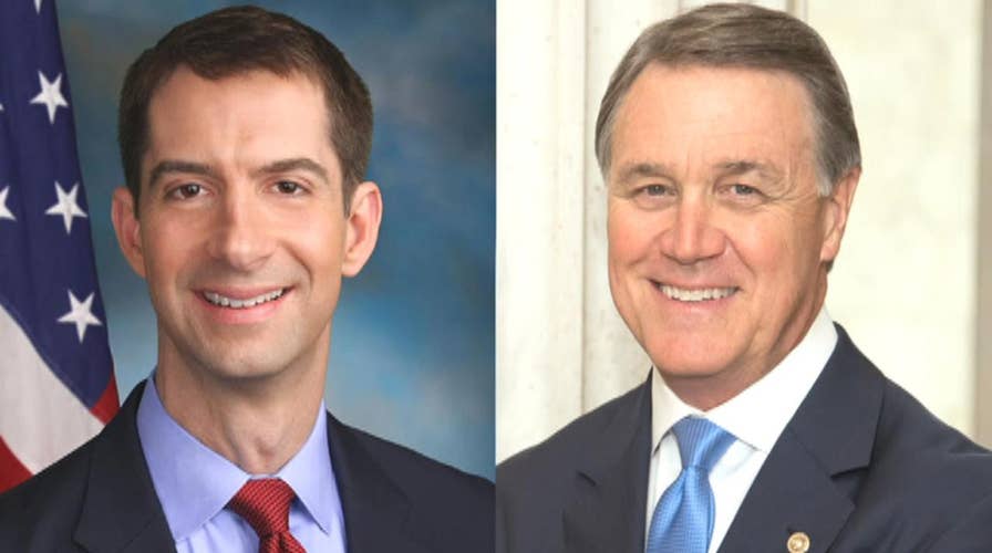 GOP senators have a plan to cut immigration in half