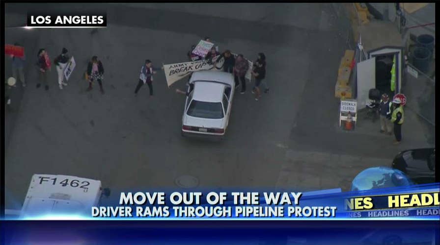 PIPELINE PROTESTERS GOING WILD