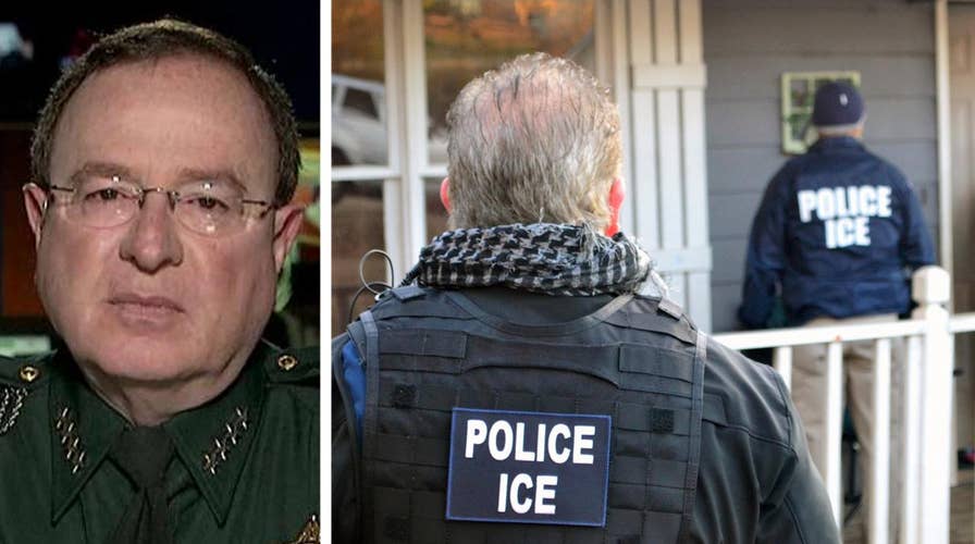 Florida sheriff: Illegal criminals are preying on our people