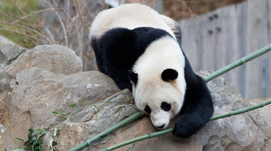 Hits & Misses: 2/26/17