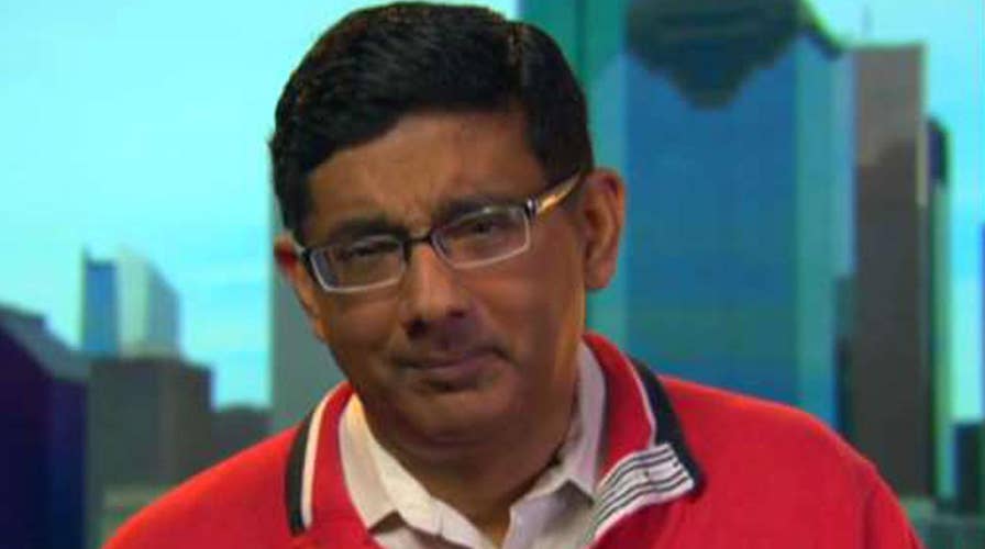 Dinesh D'Souza blasts Hollywood's 'well-dressed hypocrites'