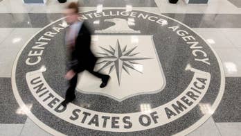 CIA cyber-spying toolkit now in hands of hackers worldwide: WikiLeaks