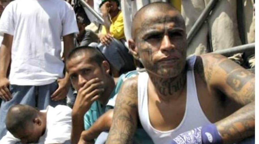 MS-13 gang causing violence across the nation