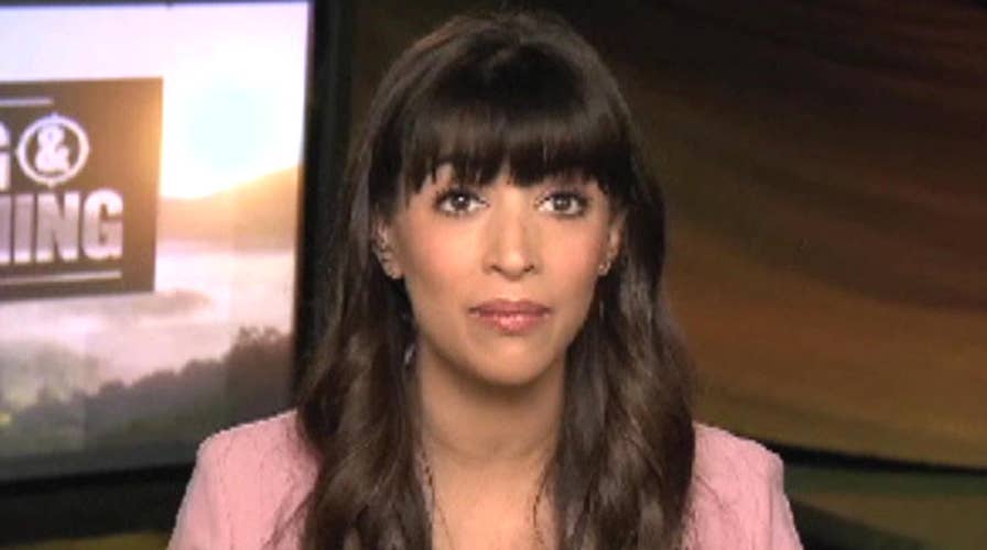 Hannah Simone on bugs, bites and 'Kicking and Screaming'