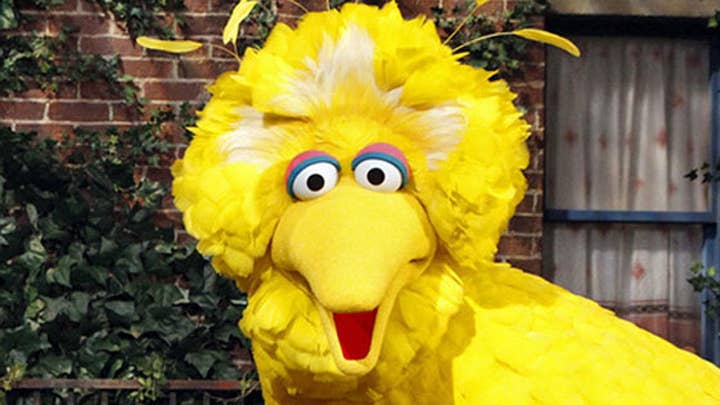 Tucker debate: Should the government cut off Big Bird?