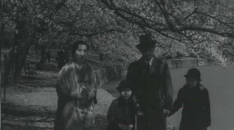 Colorful political history of DC's Cherry Blossom Festival