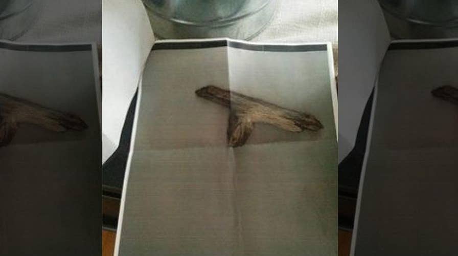 5-year-old NC girl suspended for playing with stick ‘gun’