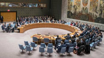 UN draft resolution on Syria attack: Vote fails with Russia veto, China abstains