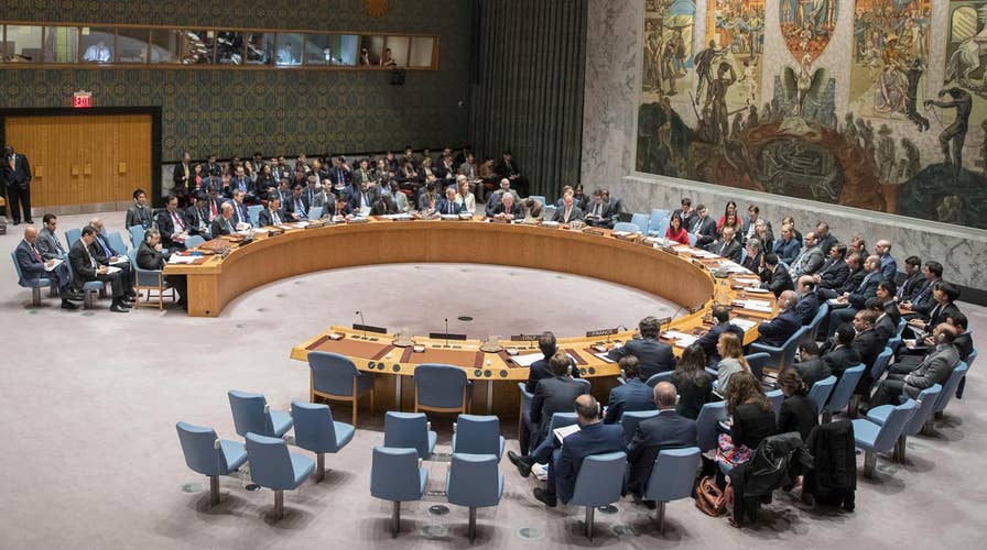 UN fails to pass resolution condemning Syria chemical attack