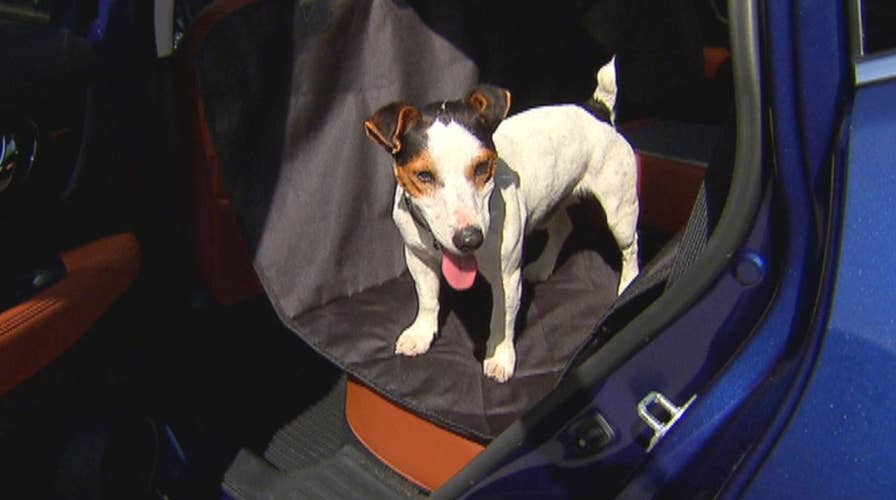 Has Nissan's newest SUV gone to the dogs?