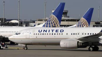 United giant rabbit death sparks social media outrage, prompts calls for change from animal groups