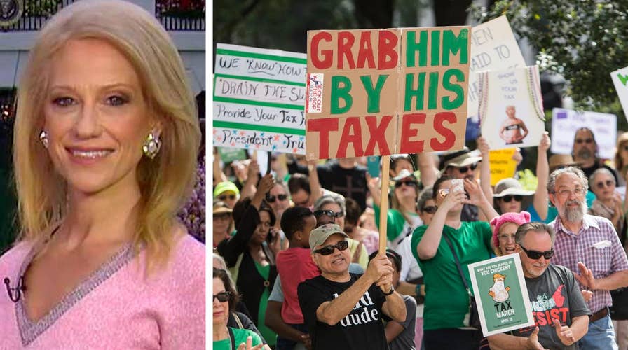 Kellyanne Conway: Dem leaders should tell protesters to stop