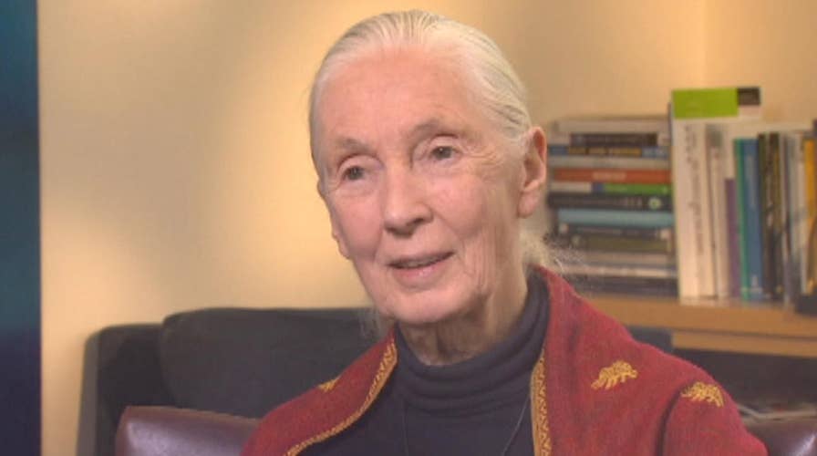 Power Player Plus: Jane Goodall