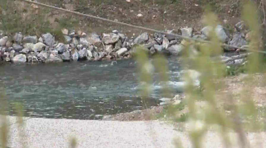 Woman drowns trying to rescue her dogs