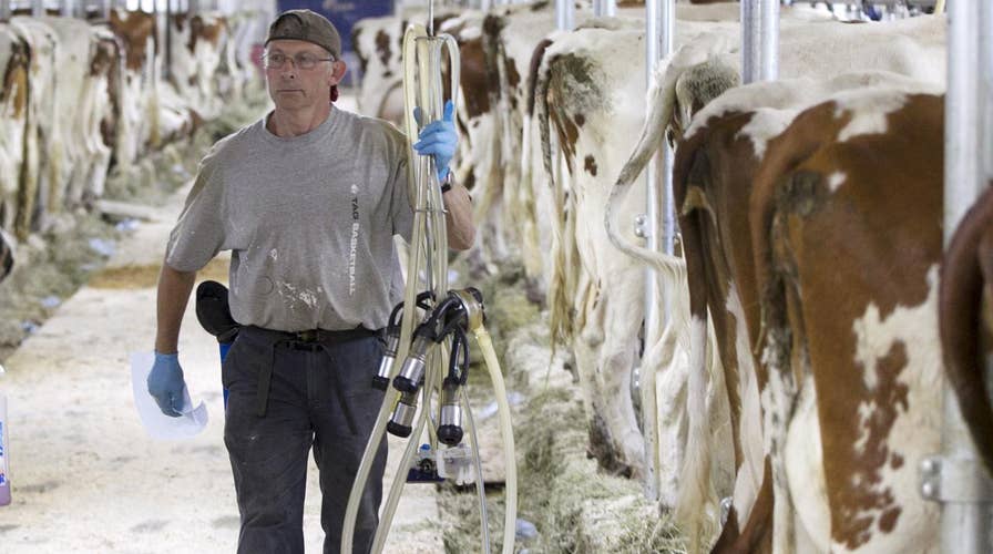 US dairy farmers caught in middle of trade fight with Canada