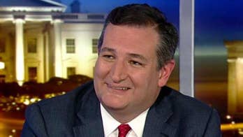 Sen. Ted Cruz: 'It's only fitting' cartel money be used for border wall