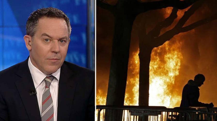 Gutfeld: Safe spaces make life more dangerous