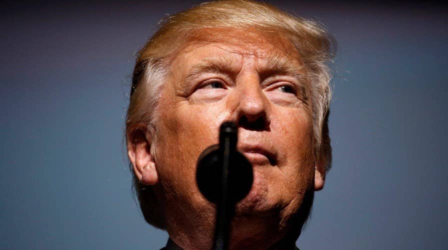 The Democratic response during Trump's first 100 days