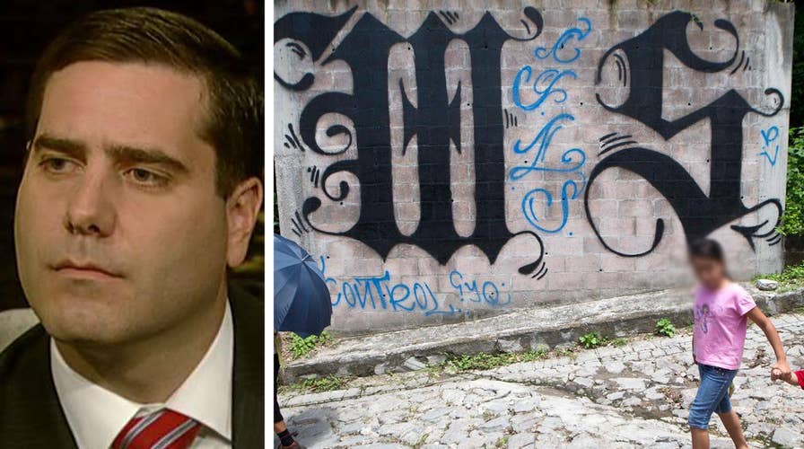 Suffolk police commissioner talks MS-13 gang problem