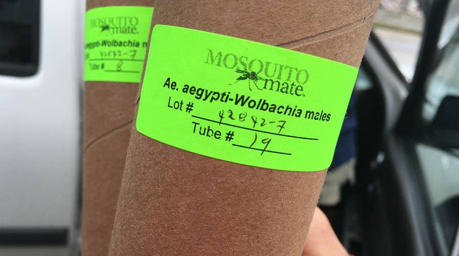 How Florida is preparing for mosquito season