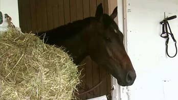 Kentucky Derby: Always Dreaming wins the 143rd race