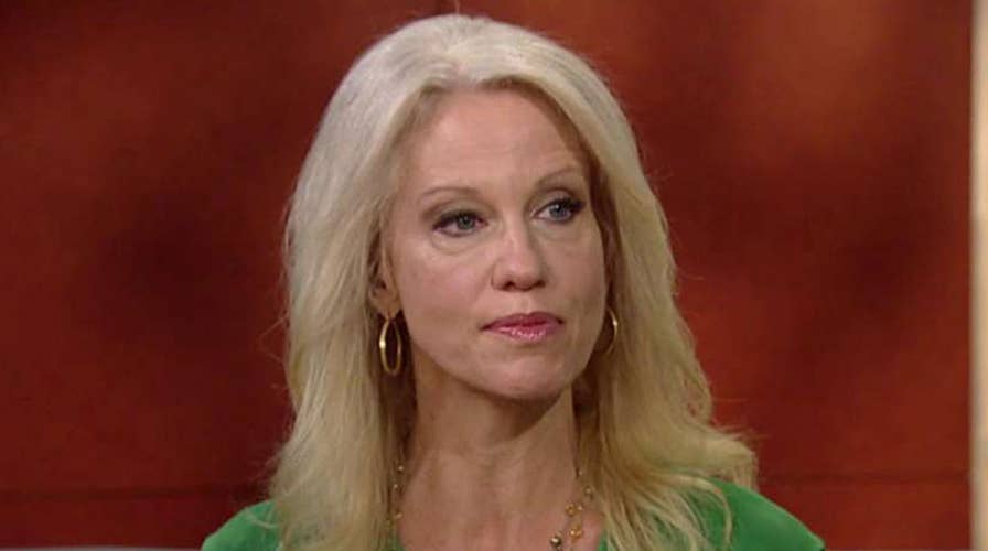 Kellyanne Conway calls out mainstream media 'enablers'