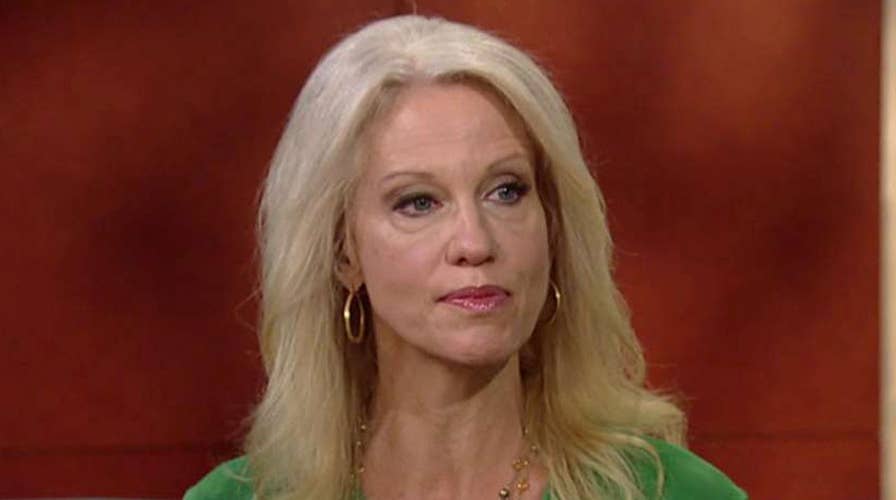 Kellyanne Conway calls out mainstream media 'enablers'