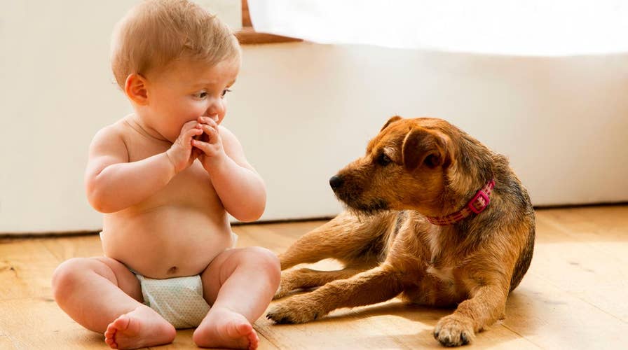 Getting your pets ready for a baby’s arrival
