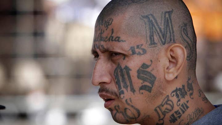 Trump administration goes after MS-13 gang