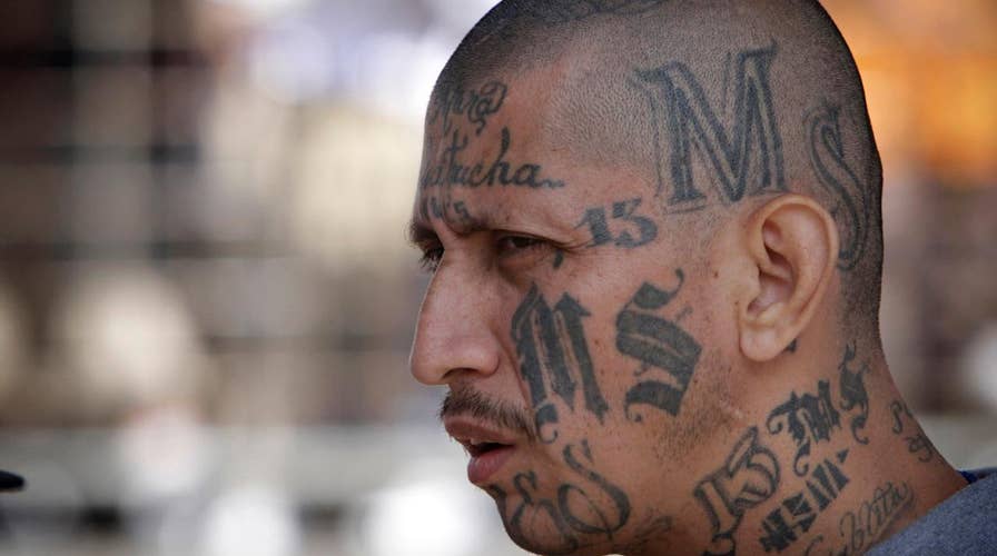 Trump administration goes after MS-13 gang