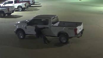 Rollaway truck nearly escapes thieves
