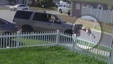 Florida hit-and-run driver caught on video is arrested for false police report