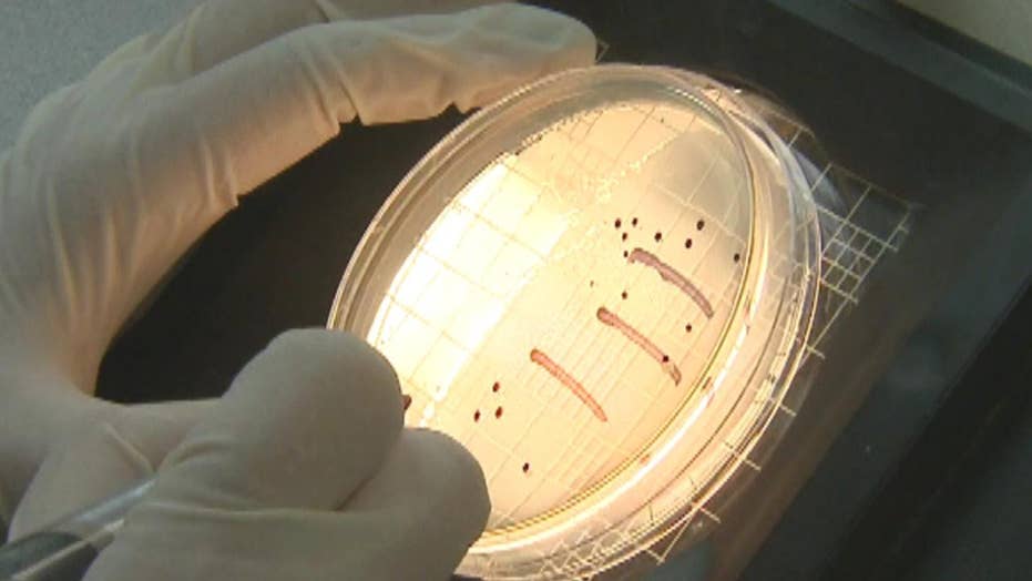 Public pools are swimming with infections: Everything you can contract | Fox News Public pools are swimming with infections: Everything you can contract | Fox News