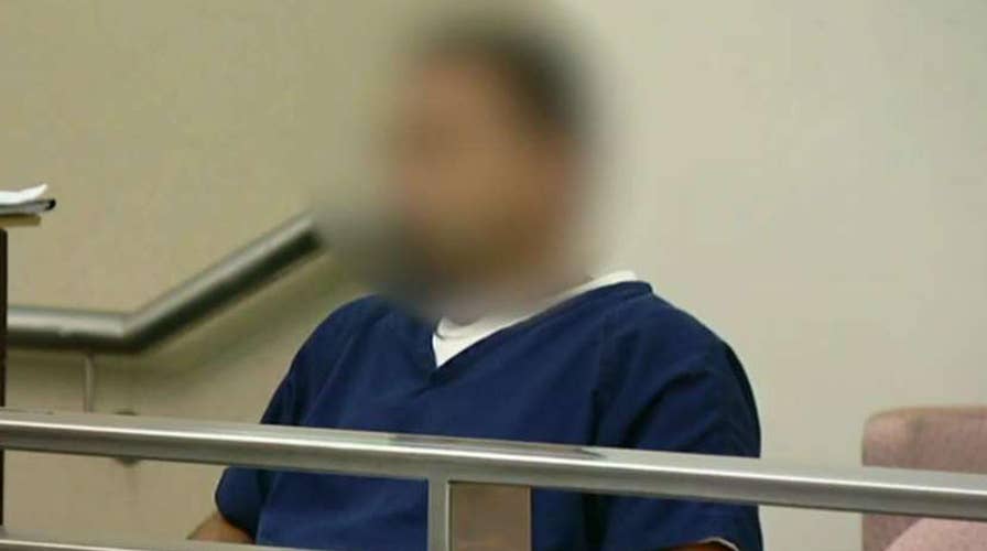 Illegal immigrant charged in near fatal hit and run