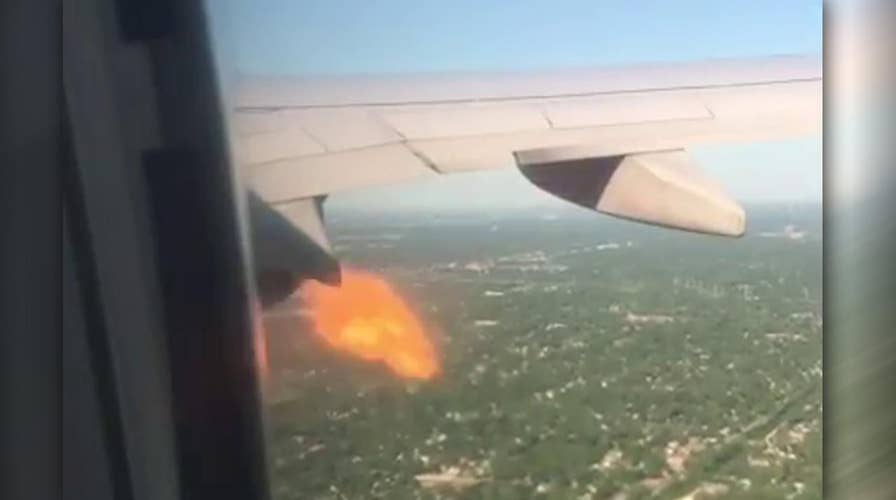 Plane catches fire mid-flight after striking bird